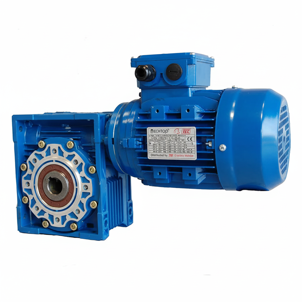 Geared Motor - Worm Geared Motor, Single or Three Phase Motor