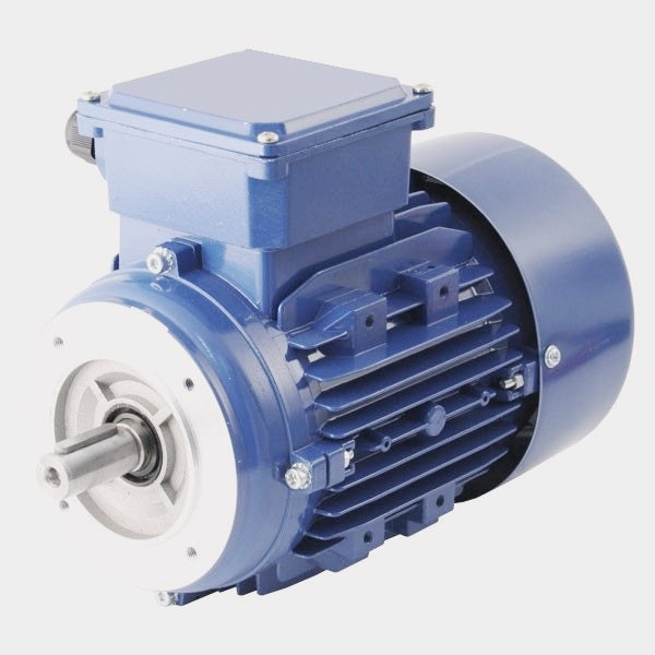 Electric Motor - Three Phase