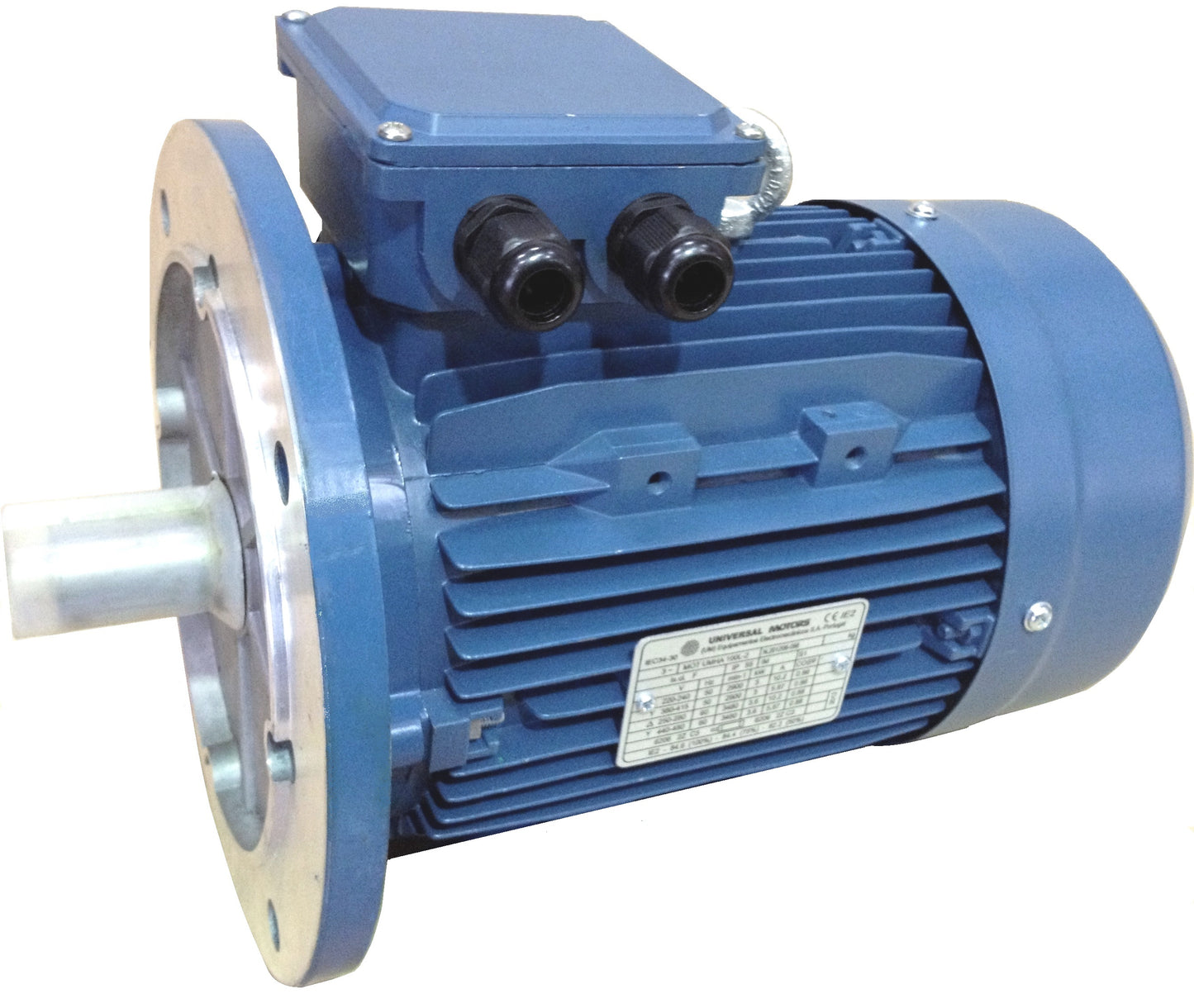 Electric Motor - Three Phase