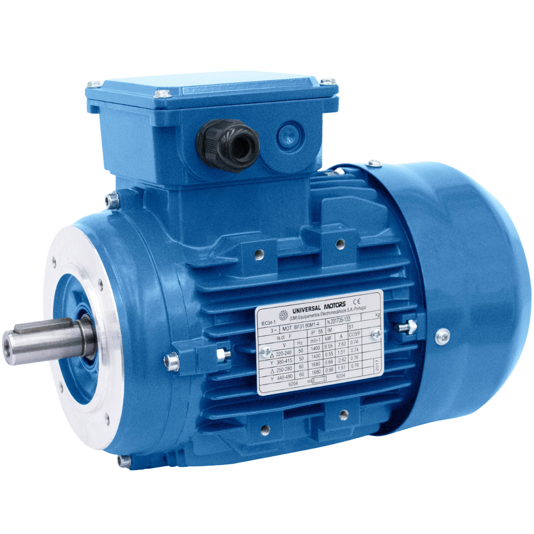 Electric Motor - Three Phase