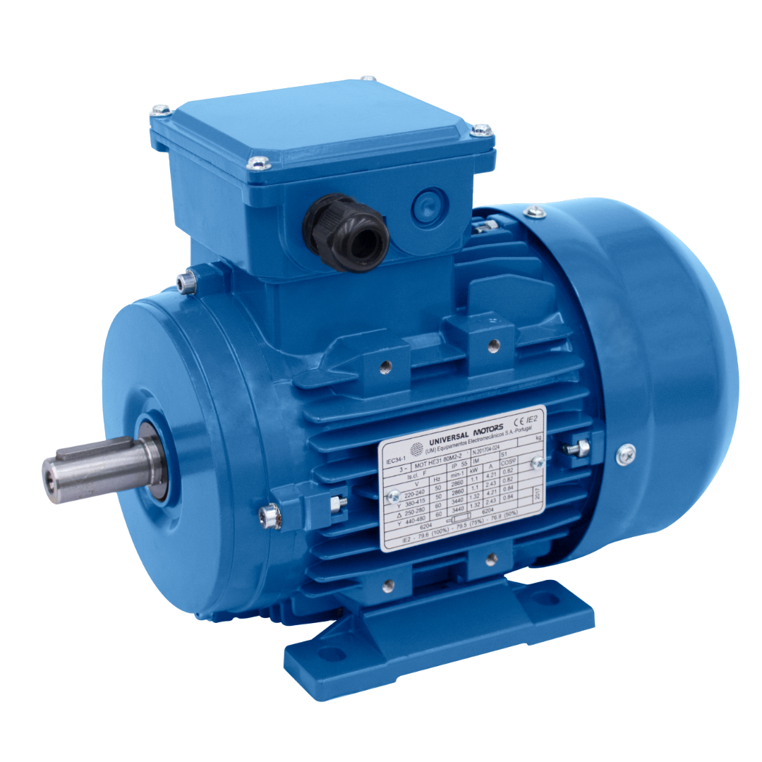 Electric Motor - Three Phase