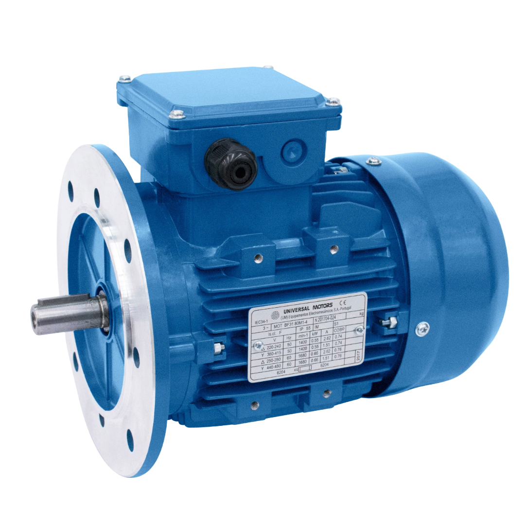 Electric Motor - Three Phase