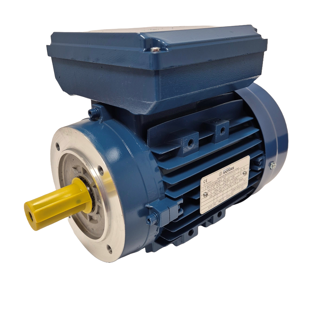 Electric Motor - Single Phase Twin Capacitor