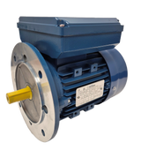Electric Motor - Single Phase Twin Capacitor